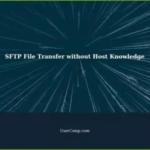 SFTP: Pull Files from Remote Host Without Directly Knowing - Tech Support