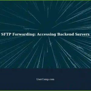 Setting up SFTP Forwarding: Accessing Backend Servers with Client Details