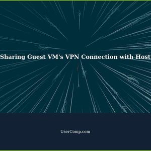 How to share Guest VM's VPN Connection with Host - blocked at ping with VPN