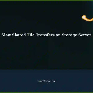 Exceptionally Slow File Transfers Between Shared Folders on Storage Server