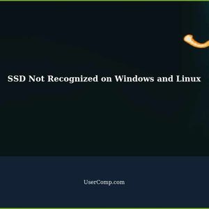 SSD Not Recognized on Windows and Linux: Troubleshooting Guide