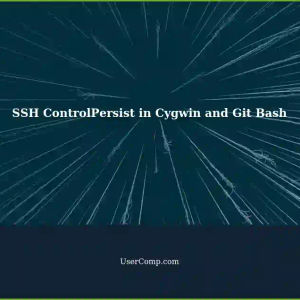Understanding SSH Behavior with ControlPersist in Cygwin and Git Bash