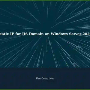 Assigning a Static IP to a Domain in IIS on Windows Server 2022