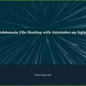 Troubleshooting Subdomain File Hosting with Autoindex on Nginx