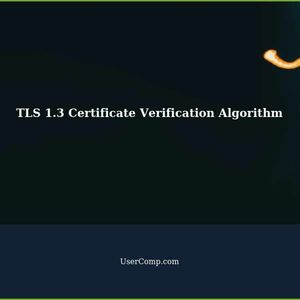 TLS 1.3 Certificate Verification Complete Algorithm