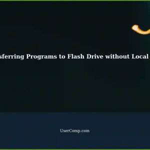 Flash Drive Installation: Completely Transferring Programs Without Creating Local Files