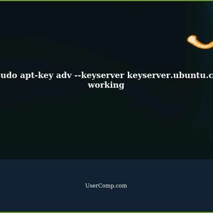 Troubleshooting: The command sudo apt-key adv --keyserver keyserver.ubuntu.com --recv-keys does not work
