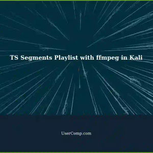 Creating Individual TS Segments Playlists with ffmpeg in Kali Linux