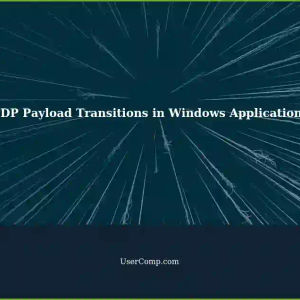 Understanding UDP Payload Traffic Transitions Between Machines in Windows Applications