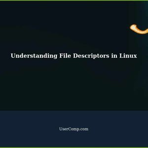 List of /proc/fd/ Path - Understanding File Descriptors in Linux