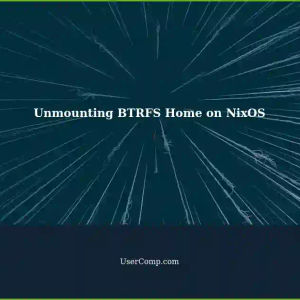 Unmounting BTRFS Home Directory: A NixOS Perspective