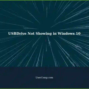 USBDrive Not Showing in Windows 10 File Explorer but Shows in Total Commander