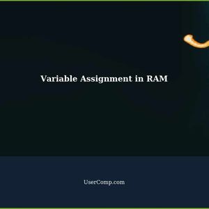How can i store variable assignment in RAM