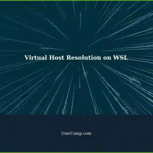 Resolving virtual host local-domain on Windows 11 WSL