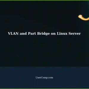Configuring VLAN and Part Bridge on a Linux Server (4.9.337)