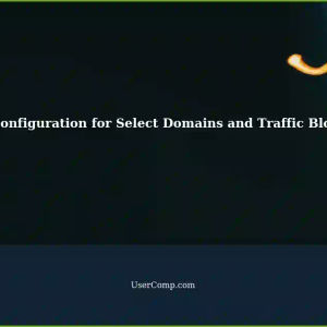 Configure VPN to Allow Select Number of Domains, Block Traffic to Everything Else: A Tech Support Guide