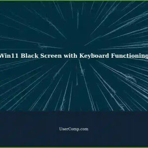 Win11 Turned Black Screen but Keyboard Still Works?