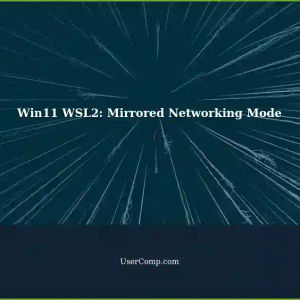Understanding the Effectiveness of 'networkingMode=mirrored' in Win11 WSL2