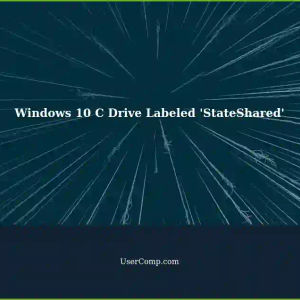 Strange Label 'StateShared' in Windows 10 C Drive