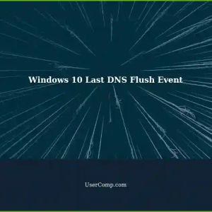 Windows 10 Machine: Last DNS Flush Took Place - TTL Display Shows No Events