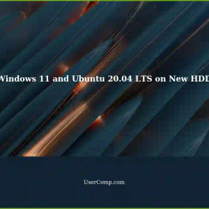 Double Booting Windows 11 and Ubuntu 20.04 LTS on a New HDD