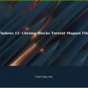 Windows 11 (Chrome): Torrent Magnet Files Not Allowed
