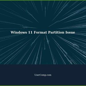 Windows 11 Unable to Format Partition