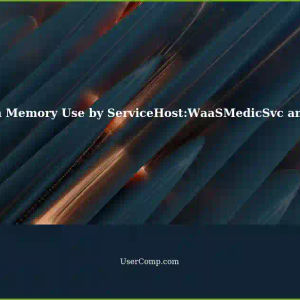 Windows 11: ServiceHost:WaaSMedicSvc using Google Chrome with High Memory Consumption