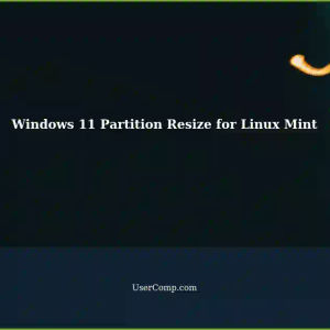 Resizing Windows 11 Partition for Linux Mint Installation