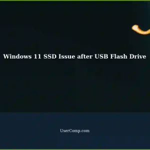 Troubleshooting Windows 11 Installation on SSD after USB Flash Drive Use