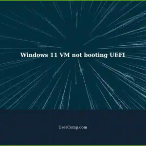 VM not booting in UEFI mode with Windows 11 on VMware Workstation Pro