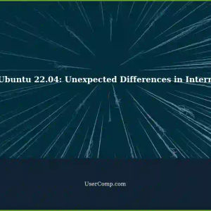 Differing Behaviors of Identically Configured Windows 11 and Ubuntu 22.04 VMware Clients with Internet Connectivity