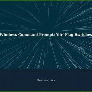 Understanding Flag-Switches in the 'dir' Command of Command Prompt (Windows)