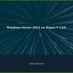 Setting up a Windows Server 2022 (VPS) as a LAN virtual machine on Hyper-V in Windows 10