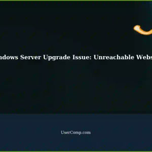 Troubleshooting: Unable to Reach Website After Downloading File During Windows Server Upgrade