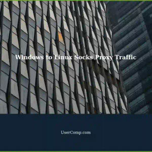 Routing Windows Traffic through Linux using Socks Proxy