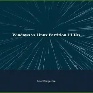 Understanding Partition UUIDs in Windows and Linux