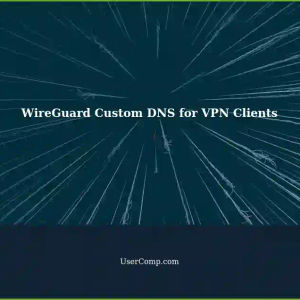 Configuring a Custom DNS Server for WireGuard VPN Clients: Manual Approach