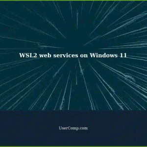 Accessing WSL2 web services on Windows 11 PC