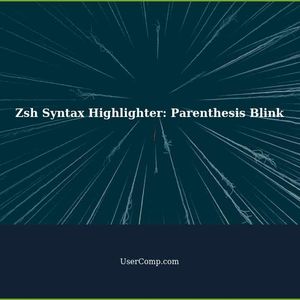 Zsh Syntax Highlighter: Make Corresponding Parenthesis Blink