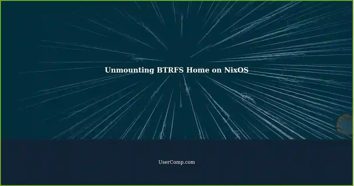 Unmounting BTRFS Home on NixOS