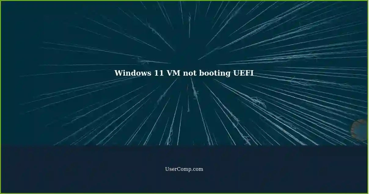 Vm not booting in uefi mode with windows 11 on vmware workstation pro