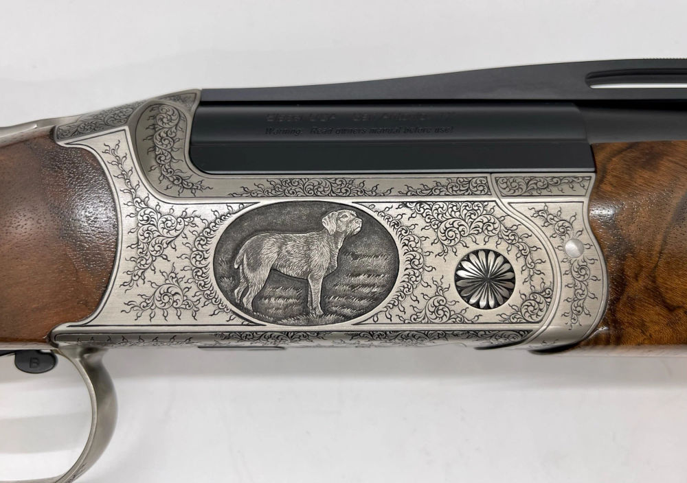 Custom II - German Wirehaired Pointer