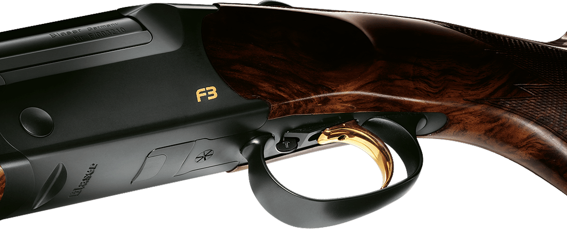Adjustable Trigger Detail