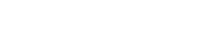Benelli Logo