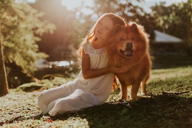 Hond knuffelen