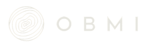 this image is representing logo of 'OBMI'