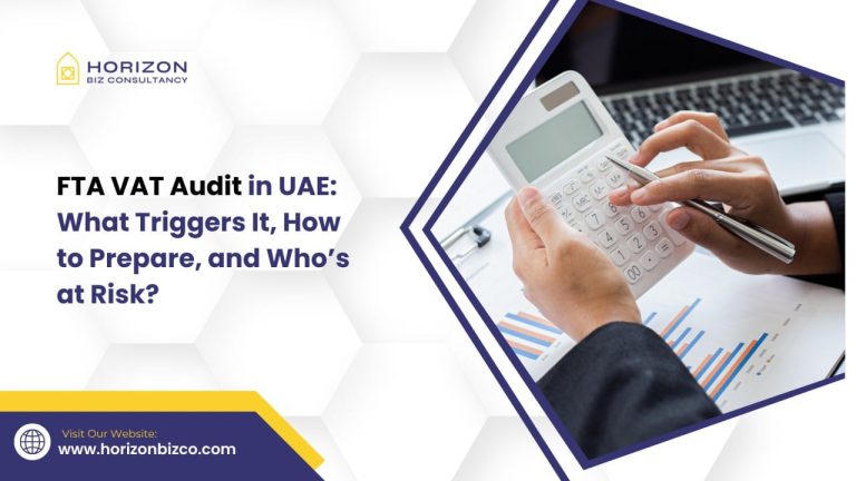this image shows about vat audit triggers and risks