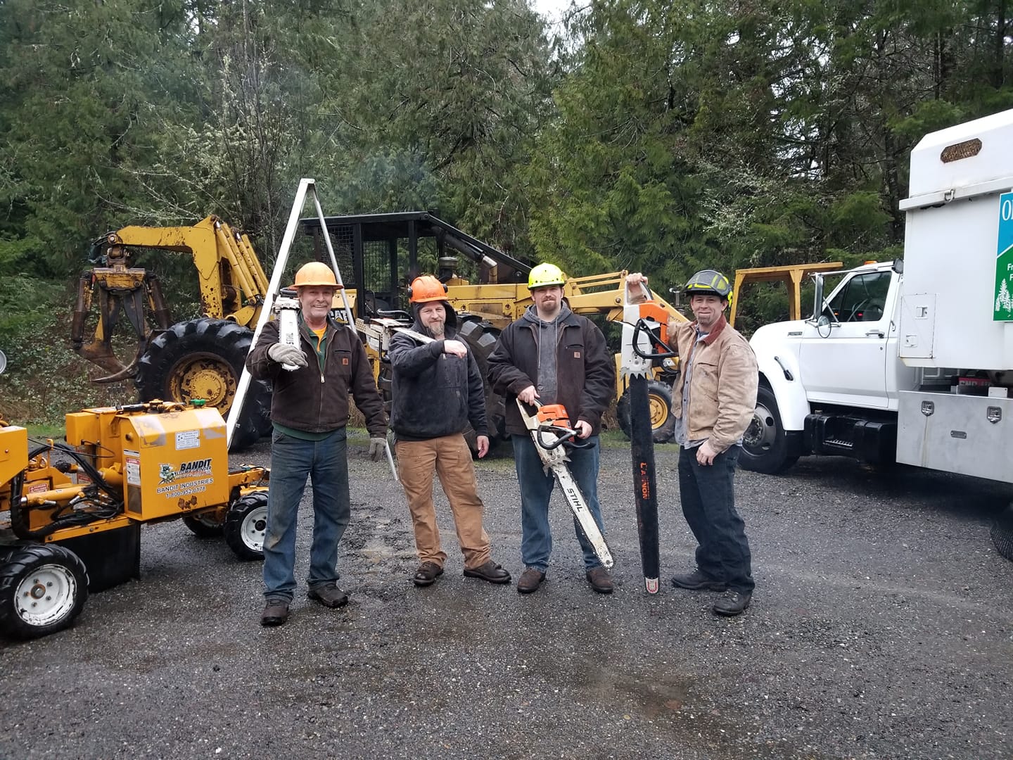 Best Soil Aeration for Trees in Truth Or Consequences, NM
