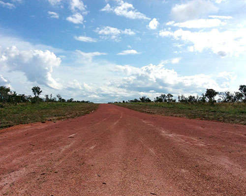 Bioética Ambiental e Responsabilidades - JAMP Brasil